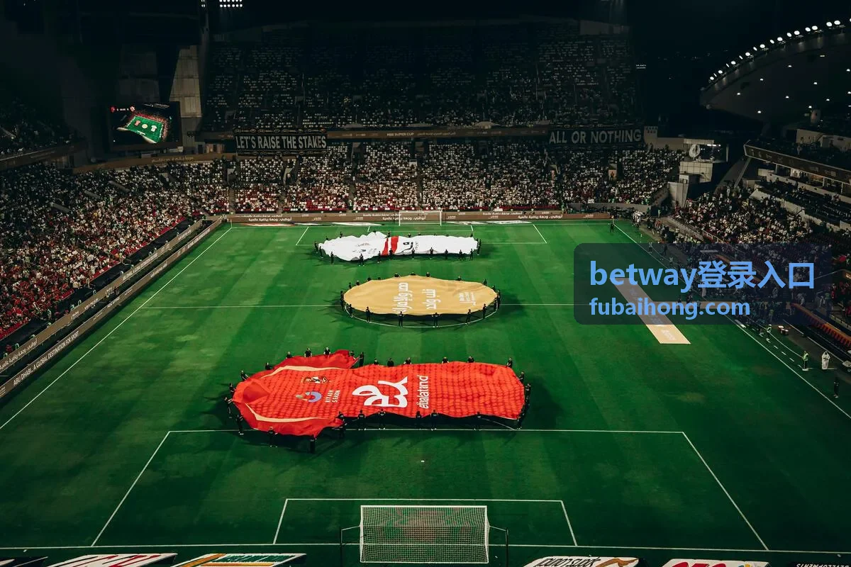 betway登录入口平台指南封面配图